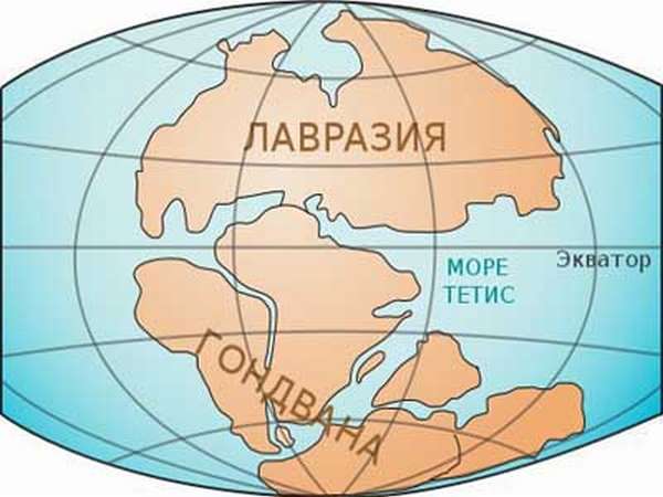Что такое континент и сколько материков на Земле
