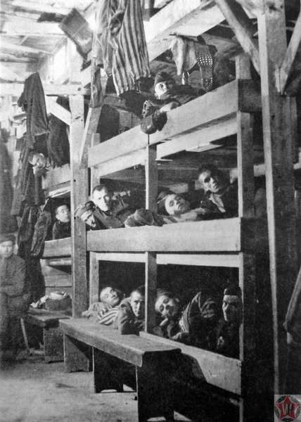 Освобожденные узники концлагеря Бухенвальд на нарах в бараке