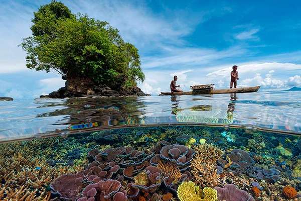 Папуа — Новая Гвинея: отзыв туриста - Полезный интернет-журнал Good ...