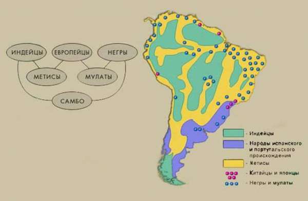Население. Расы и расовые группы. Политическая карта материка.