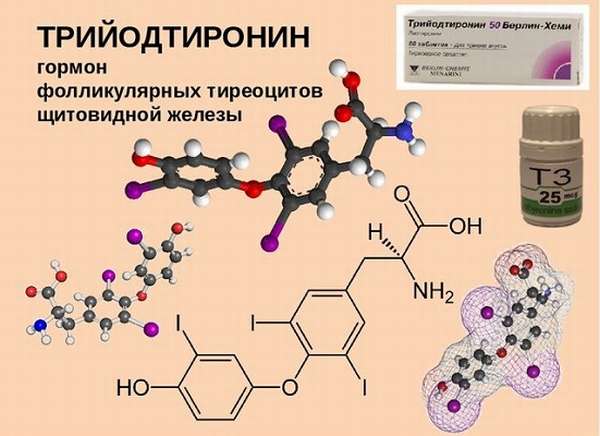 Гормоны щитовидной железы картинки