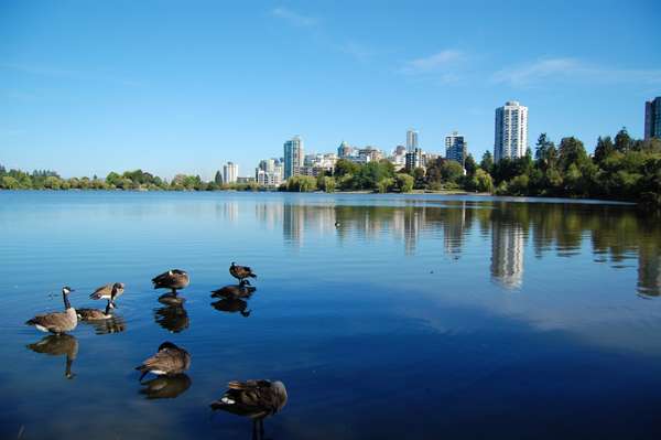 Файл:Vancouver-stanley-park.jpg — Википедия