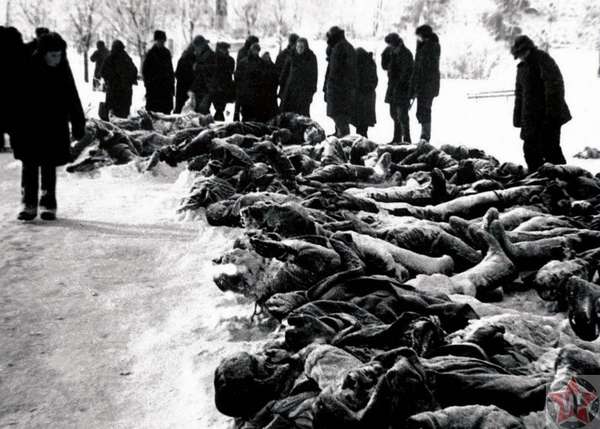Жители освобожденной Калуги у тел убитых немцами красноармейцев