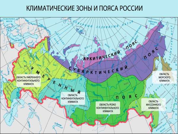 пояса и природные зоны россии (главный ключ)
