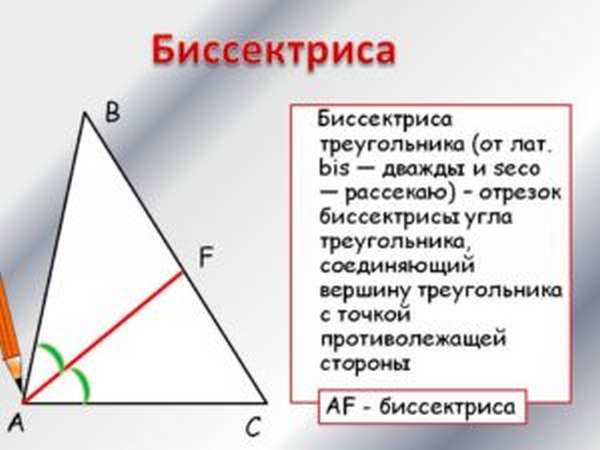 как найти биссектрису треугольника