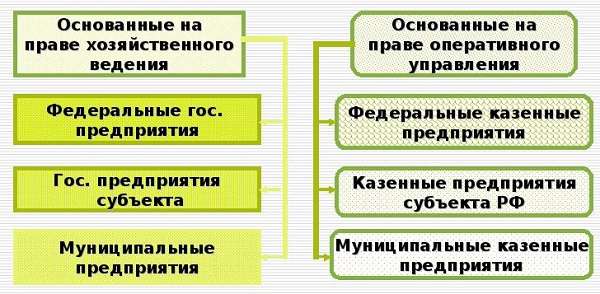 Унитарное предприятие определение, виды, признаки, особенности, функции, примеры унитарных предприятий в России