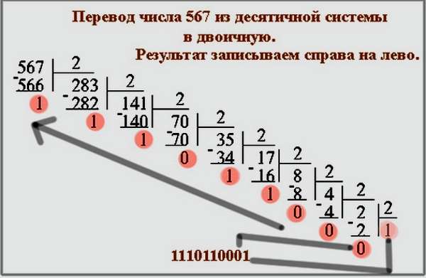 204 в десятичной системе перевести в двоичную. Как перевести число в десятичную систему счисления из двоичной. Как перевести число в двоичную систему счисления. Как перевести число из двоичной системы в двоичную. Числа из двоичной системы в десятичную системы.