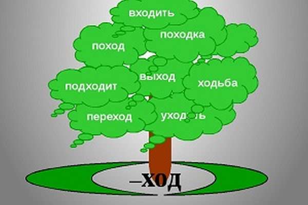 Роль корня в русском языке
