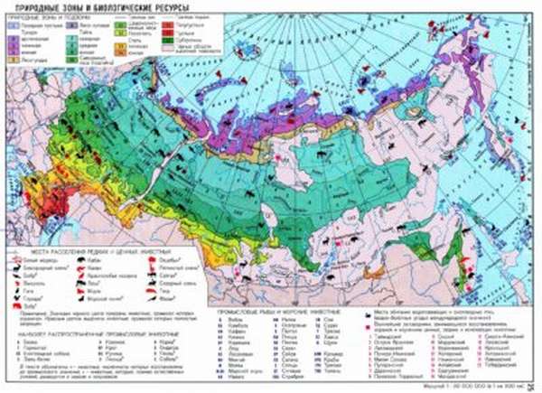 Восточно-Европейская равнина общая характеристика и особенности Русской равнины