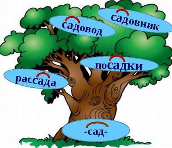 В чем корень правила русского языка? Что означает понятие «корень слова»