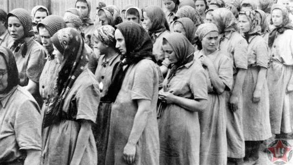 Женщины-врейки, отобранные для принудительного труда в концлагере Освенцим
