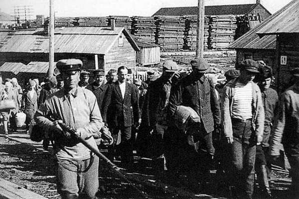 Сталинские репрессии причины, списки репрессированных и реабилитированных жертв