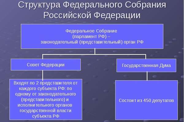 Органы государственной власти РФ