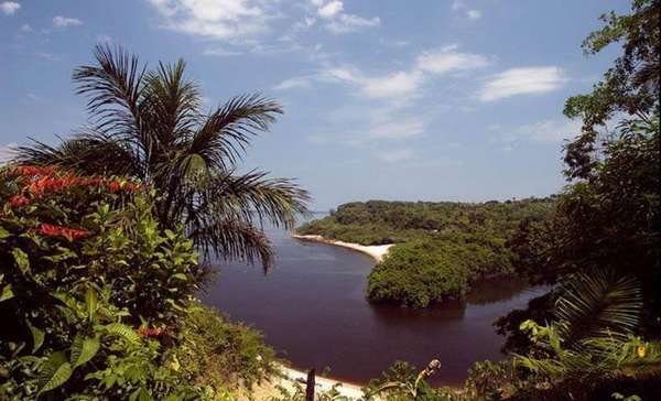 Бразилия: Дождевые леса Амазонии бассейн реки Амазонки » Все чудеса . 