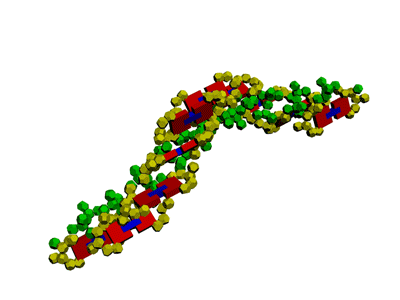 Что такое ДНК и РНК: каковы функции нуклеиновых кислот в клетке