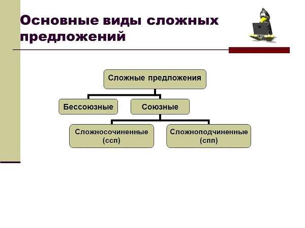 Роль предложений в русском языке