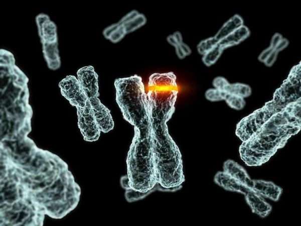 Хромосомная мутация