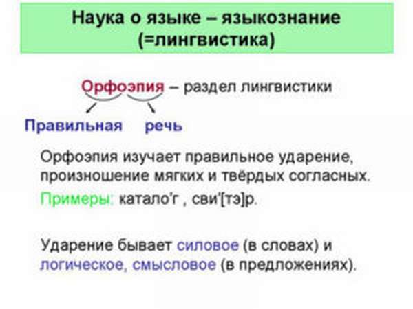 Примеры перифраз в русском языке