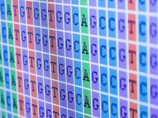 Что такое геном человека: расшифровка