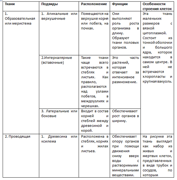 Ткани растений и их функции (таблица)