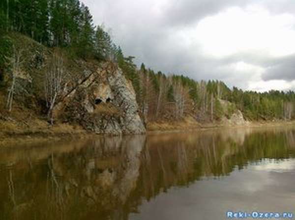 Природа на реке Волге