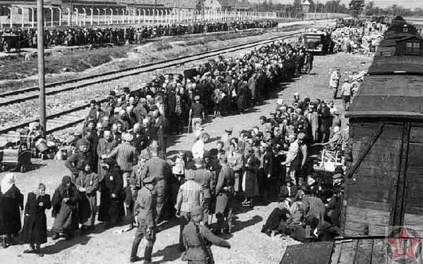 Распределение узников в Освенциме