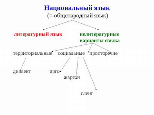 Примеры просторечие русского языка