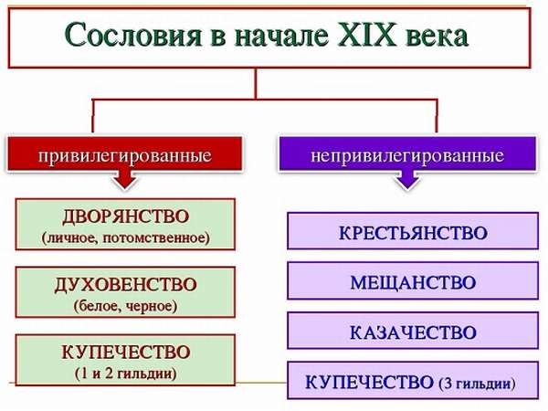 Сословия в России в XIX веке классовая структура общества